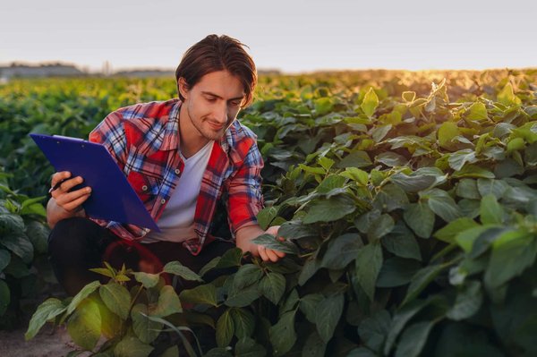 Agroécologie: une pratique bénéfique liant production agricole et respect de l'environnement