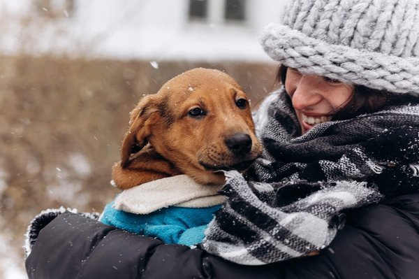 Les défis et récompenses de l'adoption d'animaux handicapés