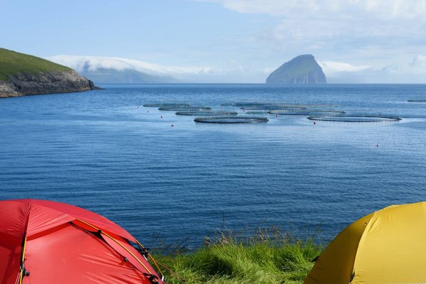 Pour quelles raisons faire du camping à Biscarrosse  ?